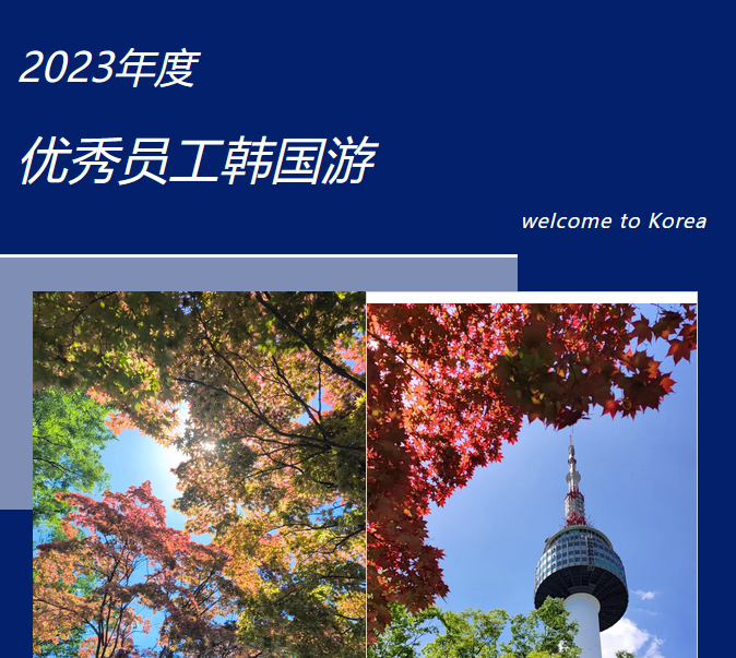 凝心聚力 逐梦同行 | 2023年度优秀员工出国游